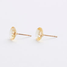 画像をギャラリービューアに読み込む, studsed pierce /citrine
