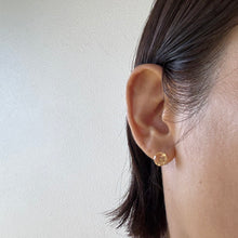 画像をギャラリービューアに読み込む, studsed pierce /citrine
