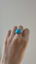 ギャラリービューアdome ring/turquoiseに読み込んでビデオを見る
